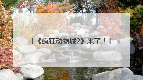 《疯狂动物城2》来了！