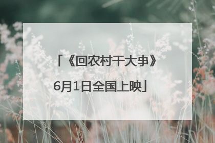 《回农村干大事》6月1日全国上映