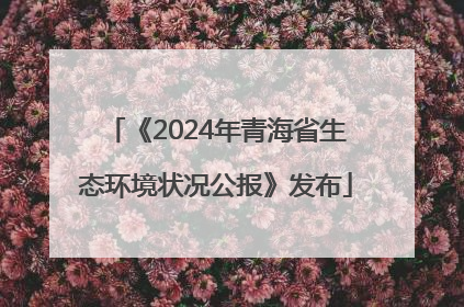 《2024年青海省生态环境状况公报》发布