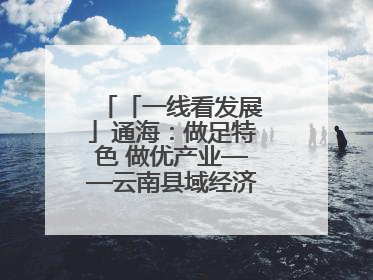 「一线看发展」通海：做足特色 做优产业——云南县域经济样本观察之二