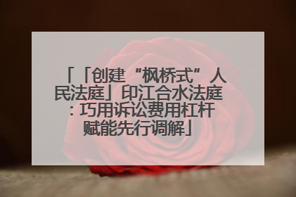 「创建“枫桥式”人民法庭」印江合水法庭：巧用诉讼费用杠杆 赋能先行调解