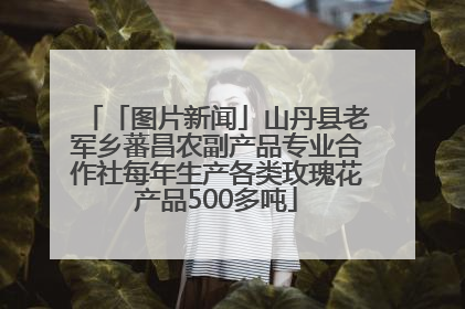 「图片新闻」山丹县老军乡蕃昌农副产品专业合作社每年生产各类玫瑰花产品500多吨