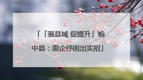 「强县域 促提升」榆中县：惠企纾困出实招