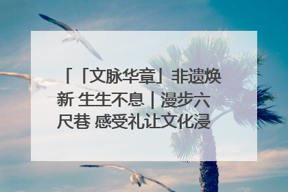 「文脉华章」非遗焕新 生生不息｜漫步六尺巷 感受礼让文化浸润的“巷”往生活