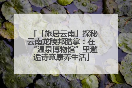 「旅居云南」探秘云南龙陵邦腊掌：在“温泉博物馆”里邂逅诗意康养生活