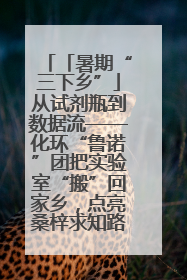 「暑期“三下乡”」从试剂瓶到数据流——化环“鲁诺”团把实验室“搬”回家乡，点亮桑梓求知路