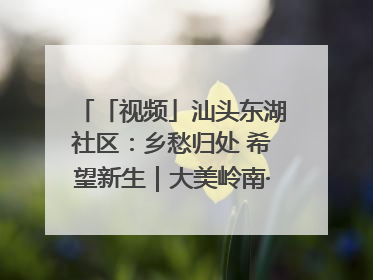 「视频」汕头东湖社区：乡愁归处 希望新生｜大美岭南·百村焕新记