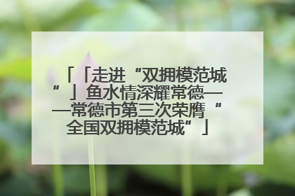 「走进“双拥模范城”」鱼水情深耀常德——常德市第三次荣膺“全国双拥模范城”