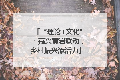 “理论+文化”：嘉兴黄岩联动，乡村振兴添活力