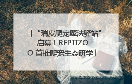 “瑞皮爬宠魔法驿站” 启幕！REPTIZOO 首推爬宠生态研学