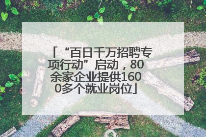“百日千万招聘专项行动”启动，80余家企业提供1600多个就业岗位