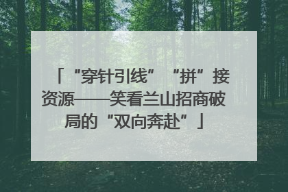 “穿针引线”“拼”接资源——笑看兰山招商破局的“双向奔赴”