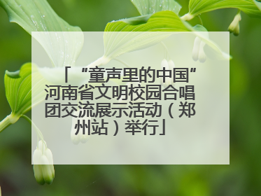 “童声里的中国”河南省文明校园合唱团交流展示活动（郑州站）举行
