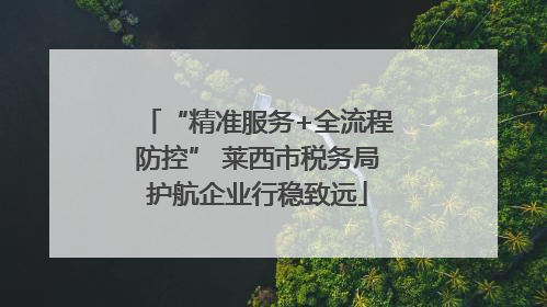 “精准服务+全流程防控” 莱西市税务局护航企业行稳致远