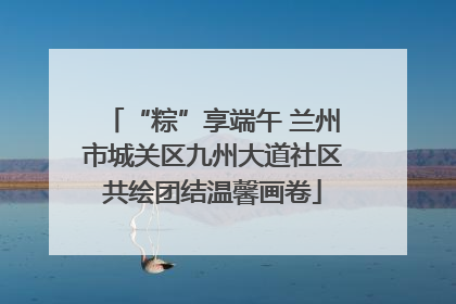 “粽”享端午 兰州市城关区九州大道社区共绘团结温馨画卷