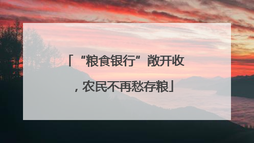 “粮食银行”敞开收，农民不再愁存粮