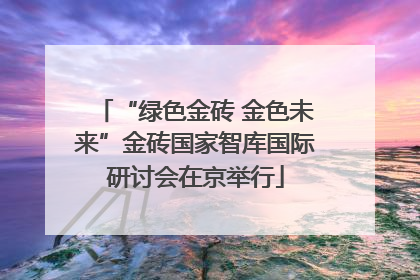 “绿色金砖 金色未来”金砖国家智库国际研讨会在京举行