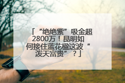 “绝绝紫”吸金超2800万！昆明如何接住蓝花楹这波“泼天富贵”？