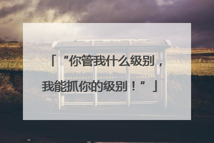 “你管我什么级别，我能抓你的级别！”