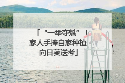 “一举夺魁”！家人手捧自家种植向日葵送考