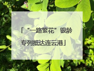 “一路繁花”银龄专列抵达连云港