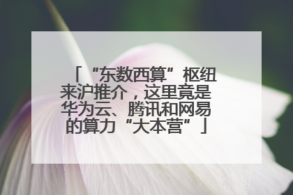 “东数西算”枢纽来沪推介，这里竟是华为云、腾讯和网易的算力“大本营”