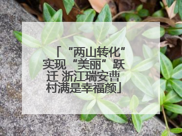“两山转化”实现“美丽”跃迁 浙江瑞安曹村满是幸福颜
