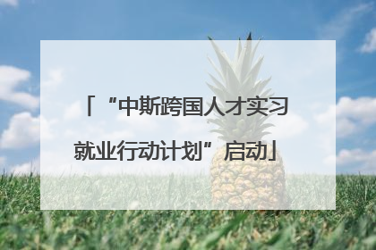 “中斯跨国人才实习就业行动计划”启动