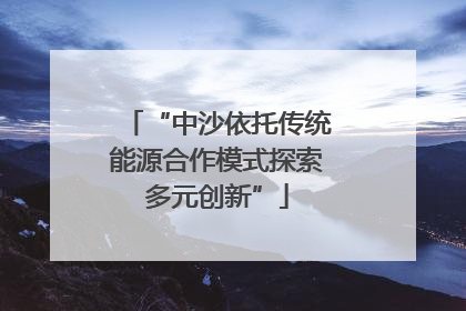 “中沙依托传统能源合作模式探索多元创新”