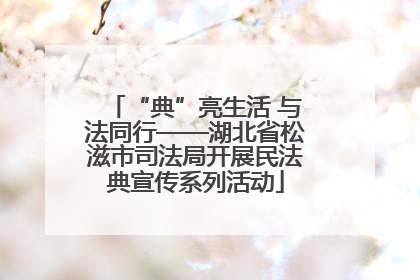 “典”亮生活 与法同行——湖北省松滋市司法局开展民法典宣传系列活动
