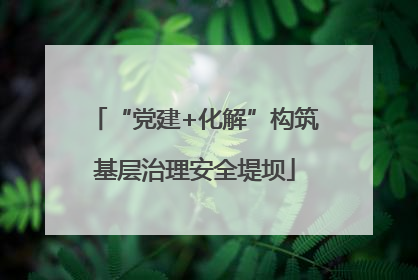 “党建+化解”构筑基层治理安全堤坝