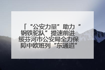 “公安力量”助力“钢铁驼队”提速前进 绥芬河市公安局全力保障中欧班列“东通道”绥芬河隧道贯通
