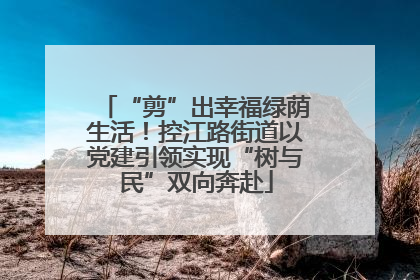 “剪”出幸福绿荫生活！控江路街道以党建引领实现“树与民”双向奔赴