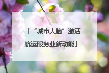 “城市大脑”激活航运服务业新动能