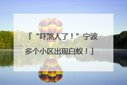 “吓煞人了！”宁波多个小区出现白蚁！
