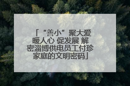 “善小”聚大爱 暖人心 促发展 解密淄博供电员工付珍家庭的文明密码