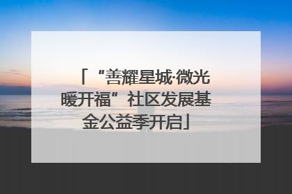 “善耀星城·微光暖开福”社区发展基金公益季开启