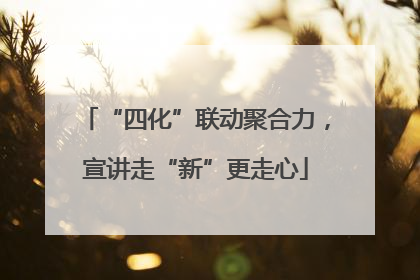 “四化”联动聚合力，宣讲走“新”更走心