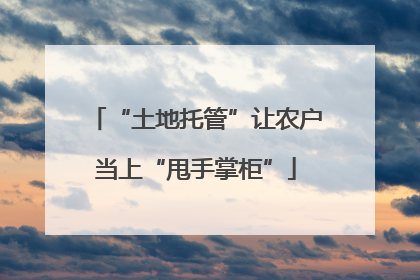 “土地托管”让农户当上“甩手掌柜”