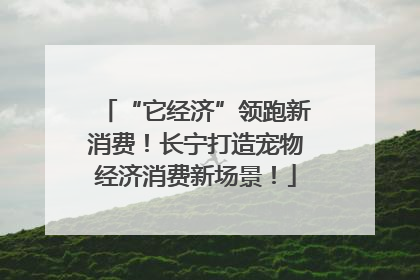 “它经济”领跑新消费！长宁打造宠物经济消费新场景！