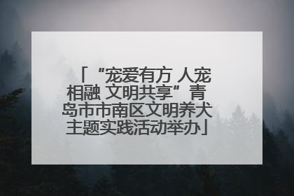 “宠爱有方 人宠相融 文明共享”青岛市市南区文明养犬主题实践活动举办