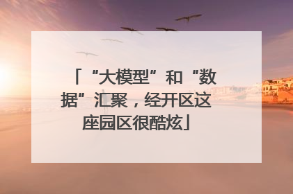 “大模型”和“数据”汇聚，经开区这座园区很酷炫