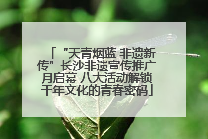 “天青烟蓝 非遗新传”长沙非遗宣传推广月启幕 八大活动解锁千年文化的青春密码