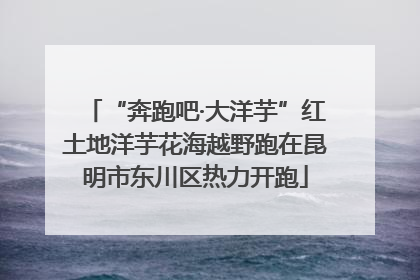 “奔跑吧·大洋芋”红土地洋芋花海越野跑在昆明市东川区热力开跑