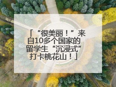 “很美丽！”来自10多个国家的留学生“沉浸式”打卡桃花山！