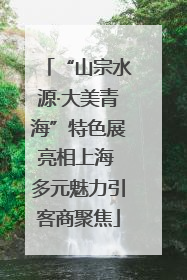 “山宗水源·大美青海”特色展亮相上海 多元魅力引客商聚焦