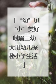 “幼”见“小”美好 峨眉三幼大班幼儿探秘小学生活