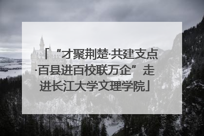 “才聚荆楚·共建支点·百县进百校联万企”走进长江大学文理学院