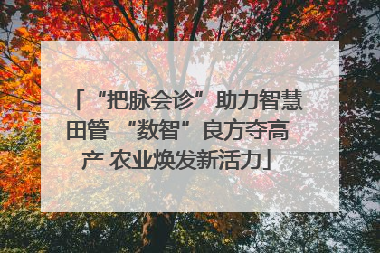 “把脉会诊”助力智慧田管 “数智”良方夺高产 农业焕发新活力