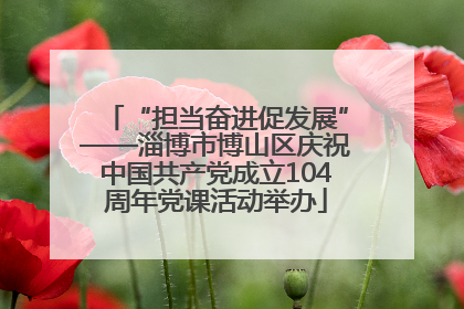 “担当奋进促发展”——淄博市博山区庆祝中国共产党成立104周年党课活动举办